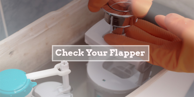 Check-Your-Flapper-