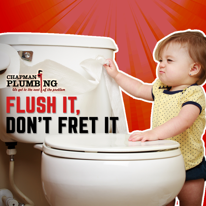 Flush it dont fret it