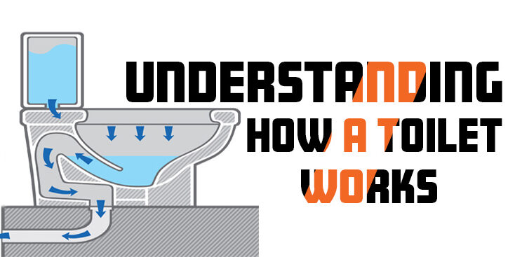 Understanding-How-a-Toilet-Works-edited