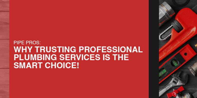Pipe Pros: Why Trusting Professional Plumbing Services is the Smart Choice!